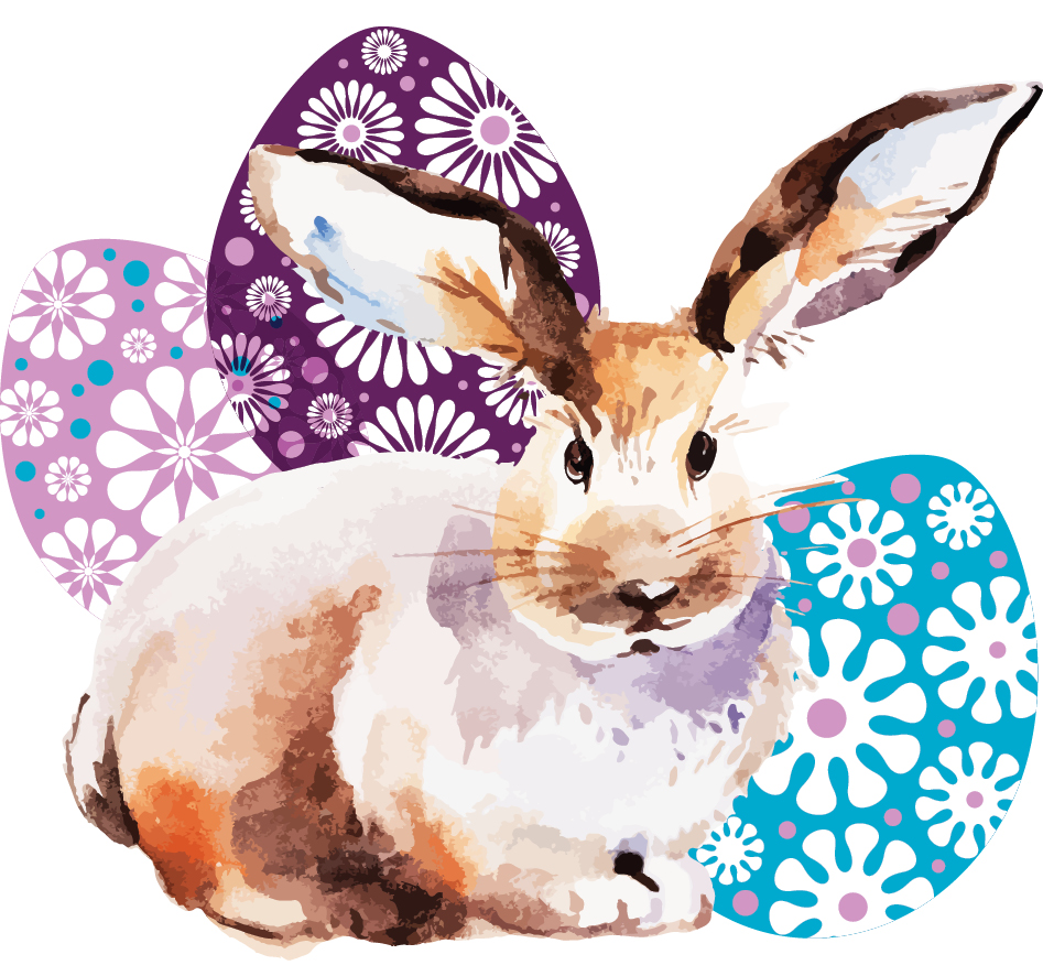 bunny